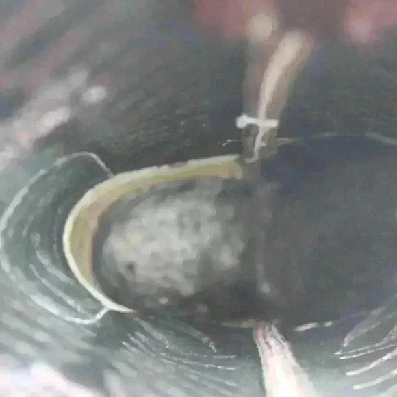 Justin Women's Cordovan Brown Leather Boots - Picture 8 of 10